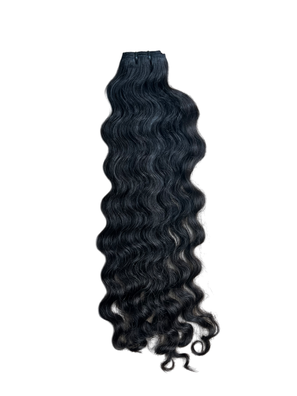 Indian Curly